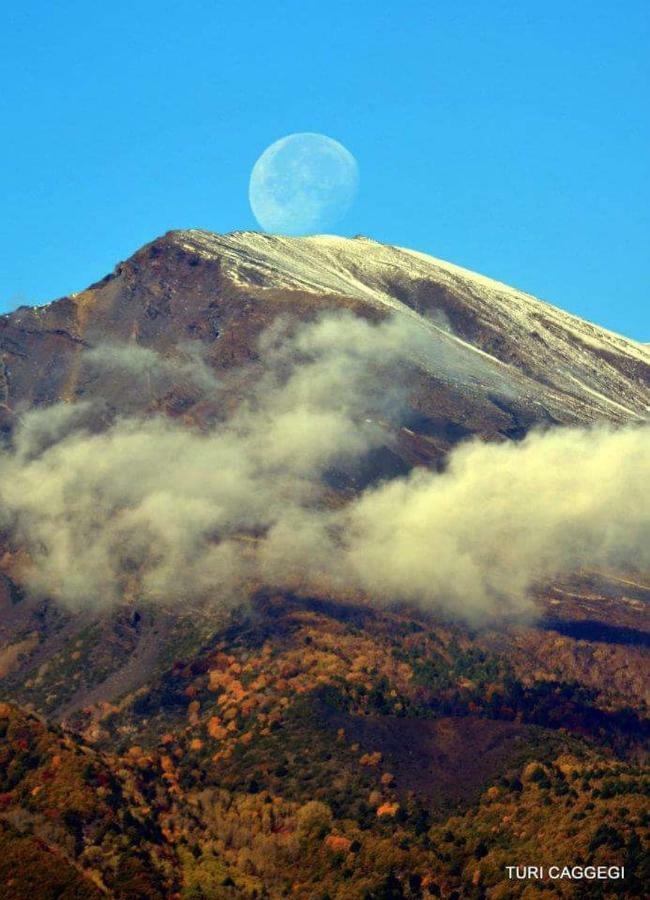 בלפאסו Guest House Le Ginestre Dell'Etna מראה חיצוני תמונה